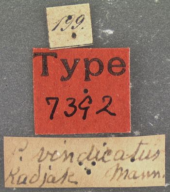 Media type: image;   Entomology 7392 Aspect: labels